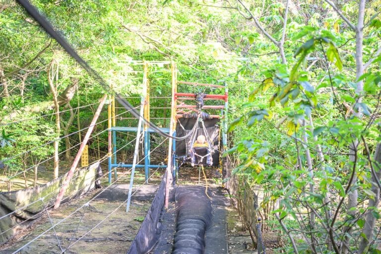 桃園野趣森林｜鐵架、繩索、塑膠管，森林。