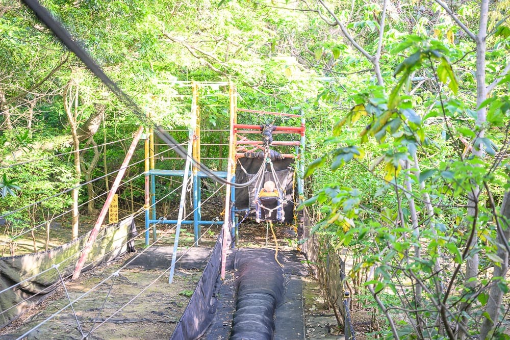 桃園野趣森林｜鐵架、繩索、塑膠管，森林。