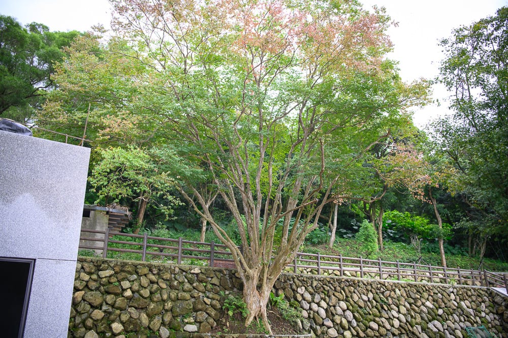 新北興華驛站