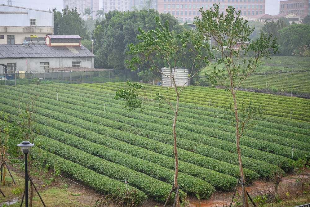 【2026桃園室內景點懶人包】TOP20+個雨天備案室內景點:Xpark夜宿體驗、小熊博物館、台灣客家茶文化館 10 桃園台灣客家茶文化館