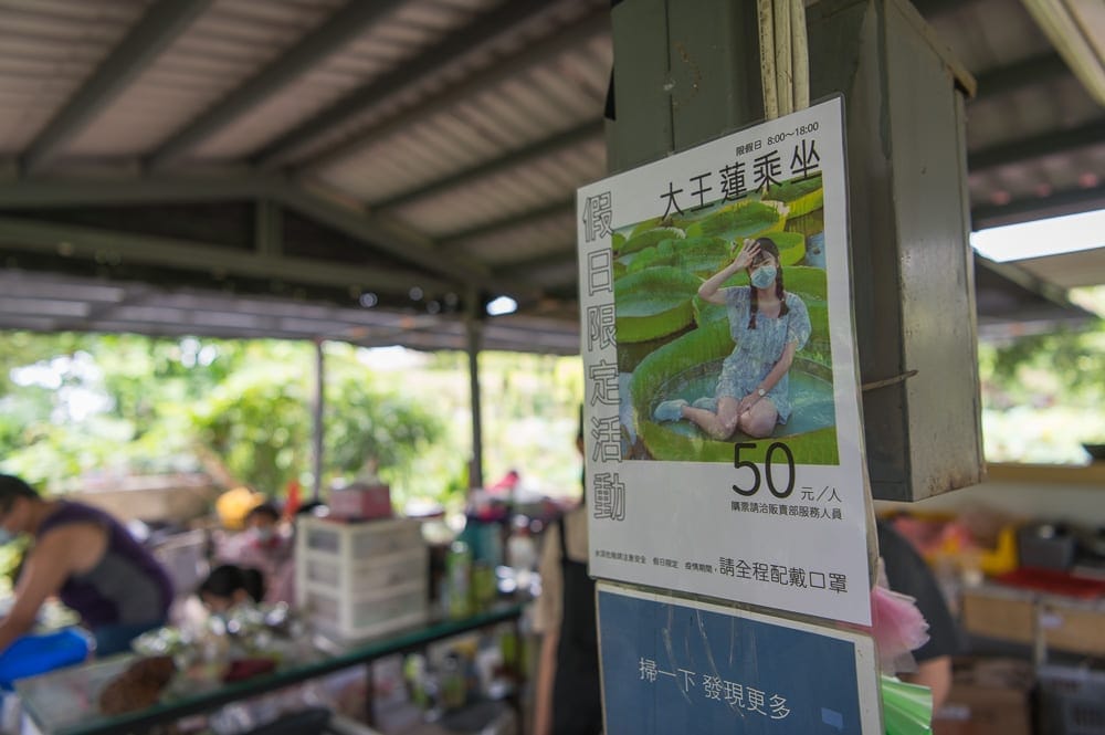 桃園步道懶人包|5條必走健行路線交通完整指南 5 桃園水蓮之鄉園區