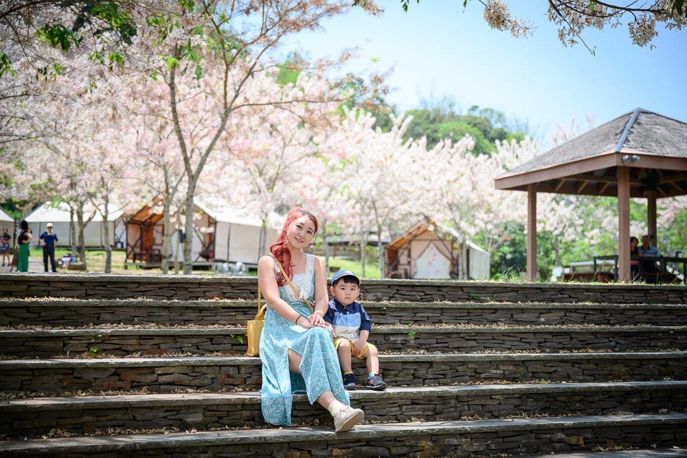 高雄寶來花賞溫泉公園花旗木｜石階、女人、男孩，賞櫻花。遠處有涼亭、帳篷。