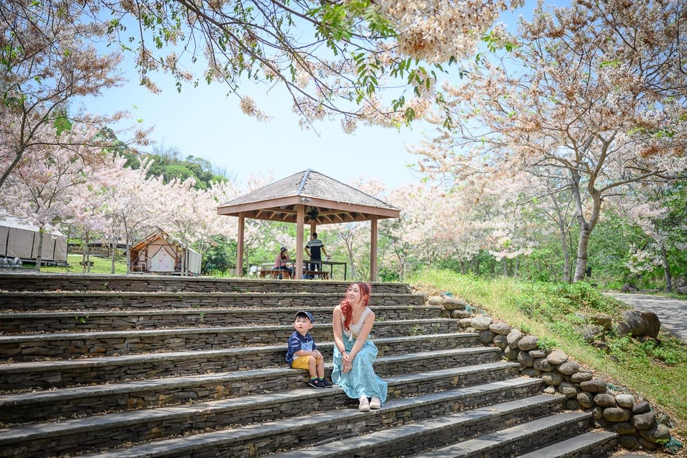 高雄寶來花賞溫泉公園花旗木｜石階、草地、樹、涼亭，人物。 一個紅髮女人和一個小男孩坐在石階上，遠處有涼亭和樹，花。