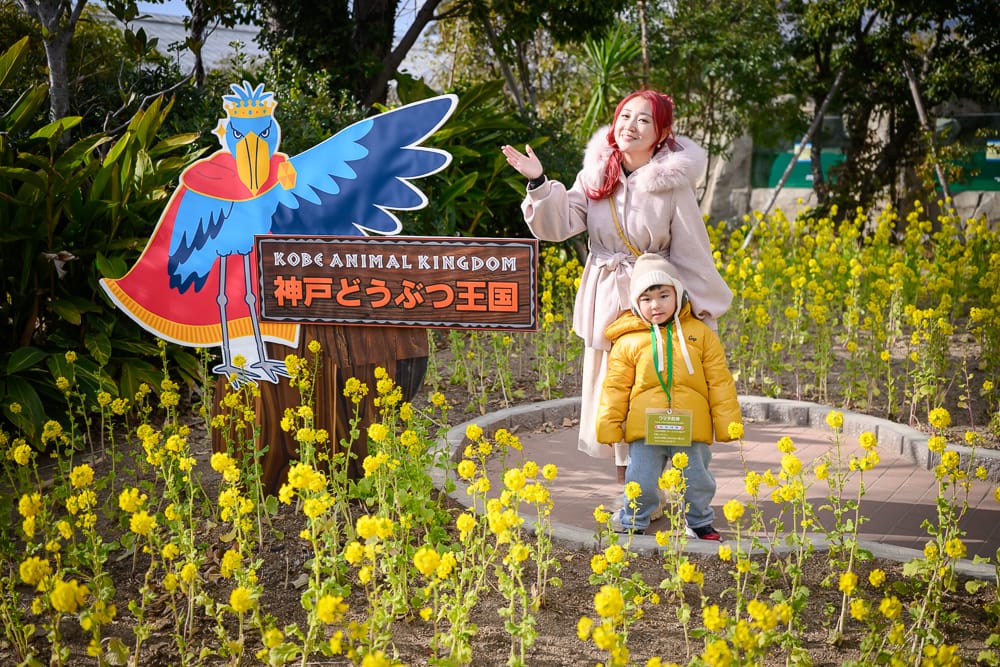 神戶動物王國入口菜花田與 KOBE ANIMAL KINGDOM 神戸どうぶつ王国 招牌