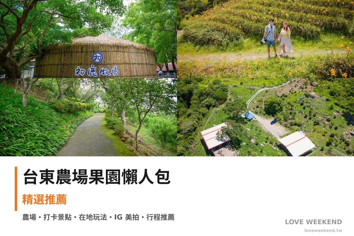 台東農場果園懶人包封面｜台東採果農場懶人包｜4個季節限定體驗