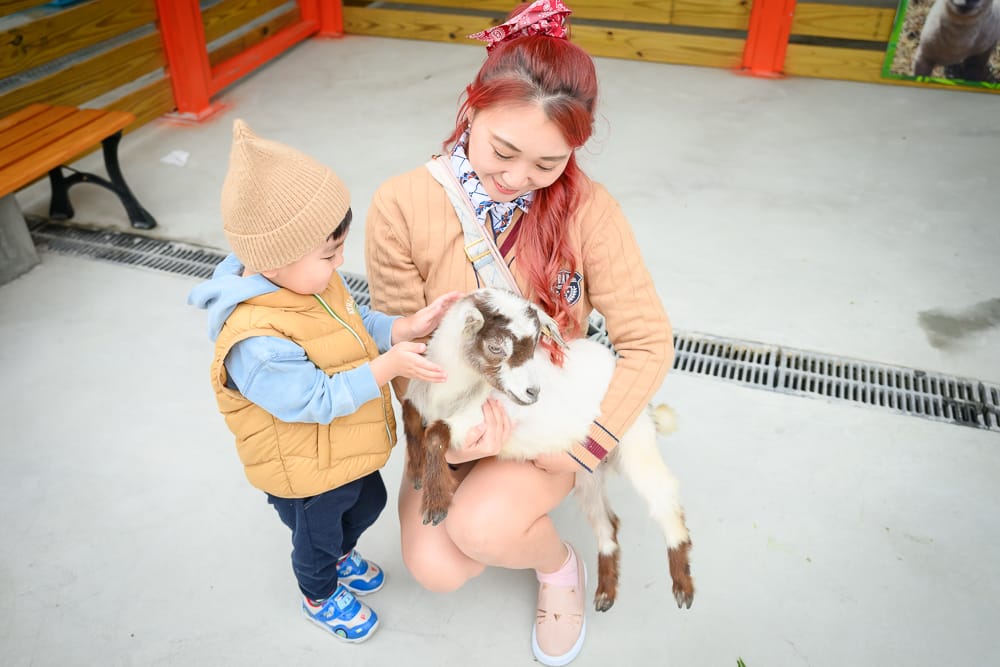 苗栗農場一日遊懶人包|4間親子牧場×香草莊園×動物互動推薦 8 苗栗童萌農場