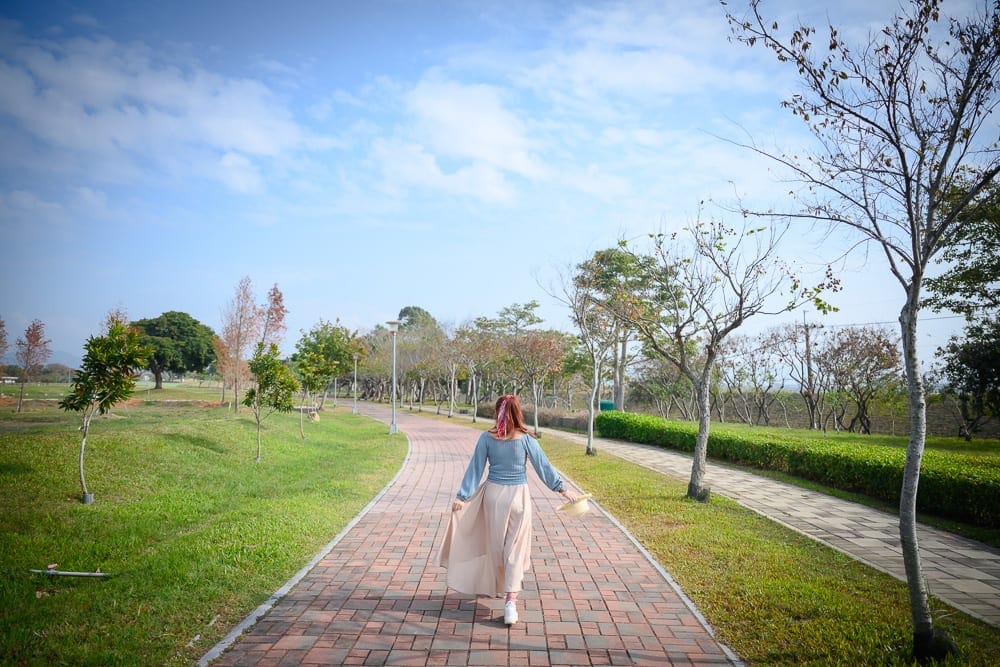 台中后里花田綠廊