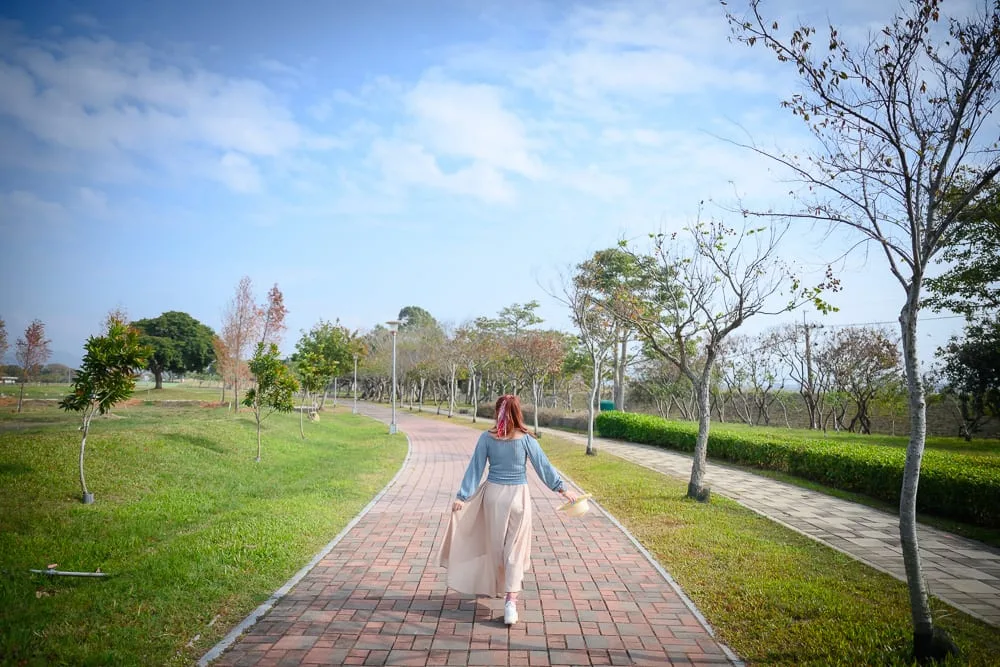 台中后里花田綠廊