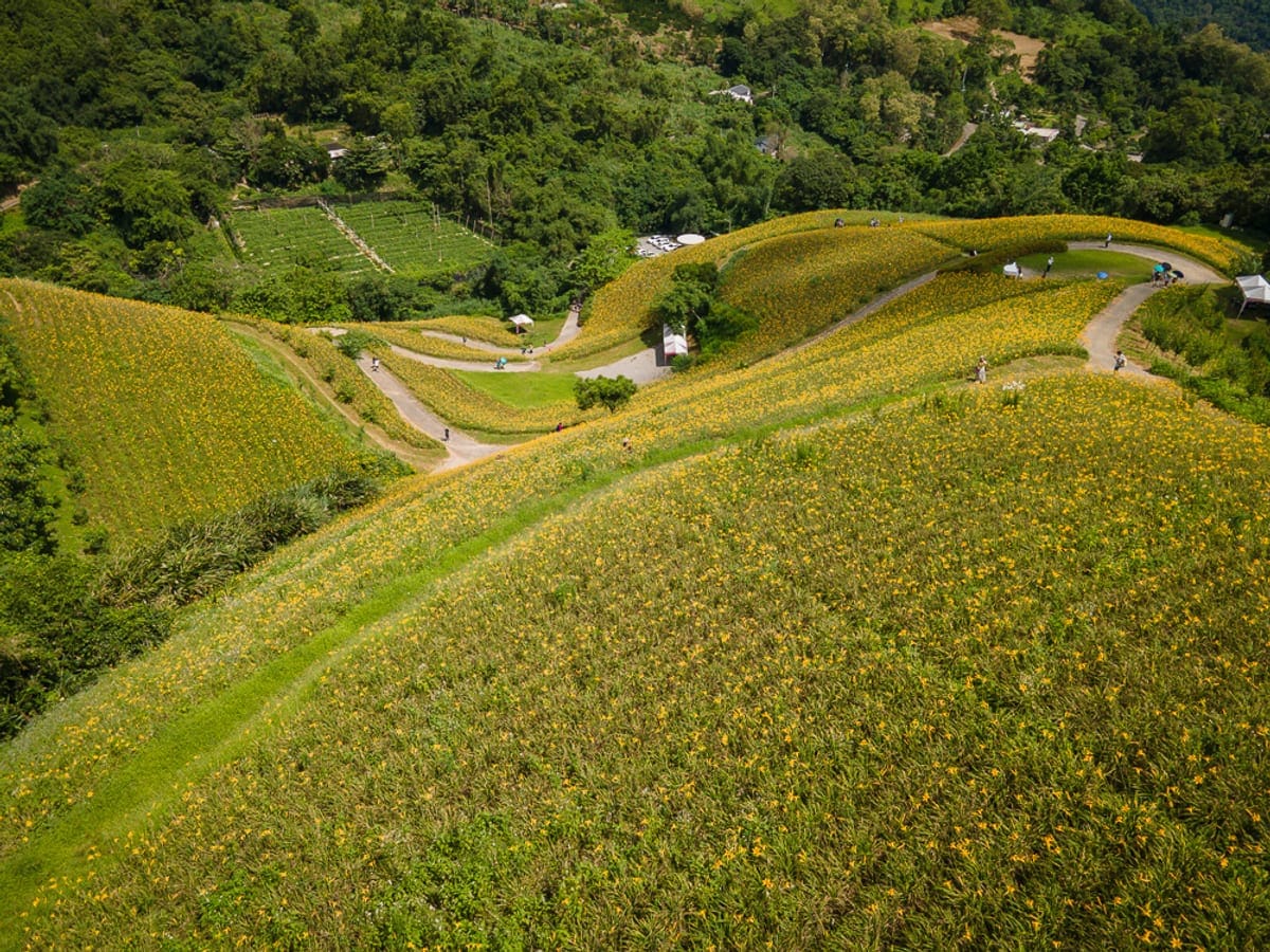 天山農場