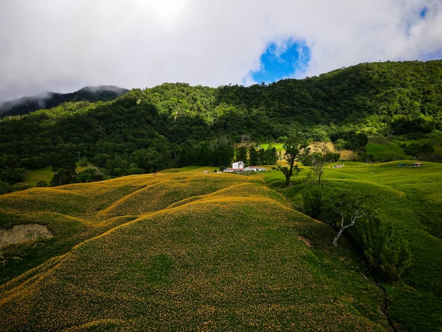 花蓮赤柯山小瑞士農場