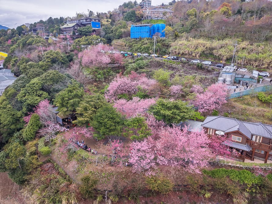南投星嵐拉麵 - 星嵐拉麵附近景點與一日遊組合