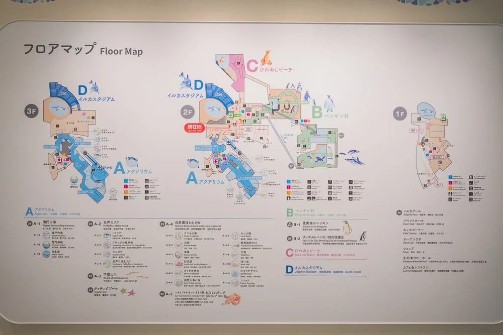 日本市立下關水族館 海響館完整攻略|企鵝隧道、海豚表演與河豚展區玩法解析 12 日本下關-海響館|室內、白牆、導覽圖、平面圖、日文標示、樓層指引,空間明亮簡潔。