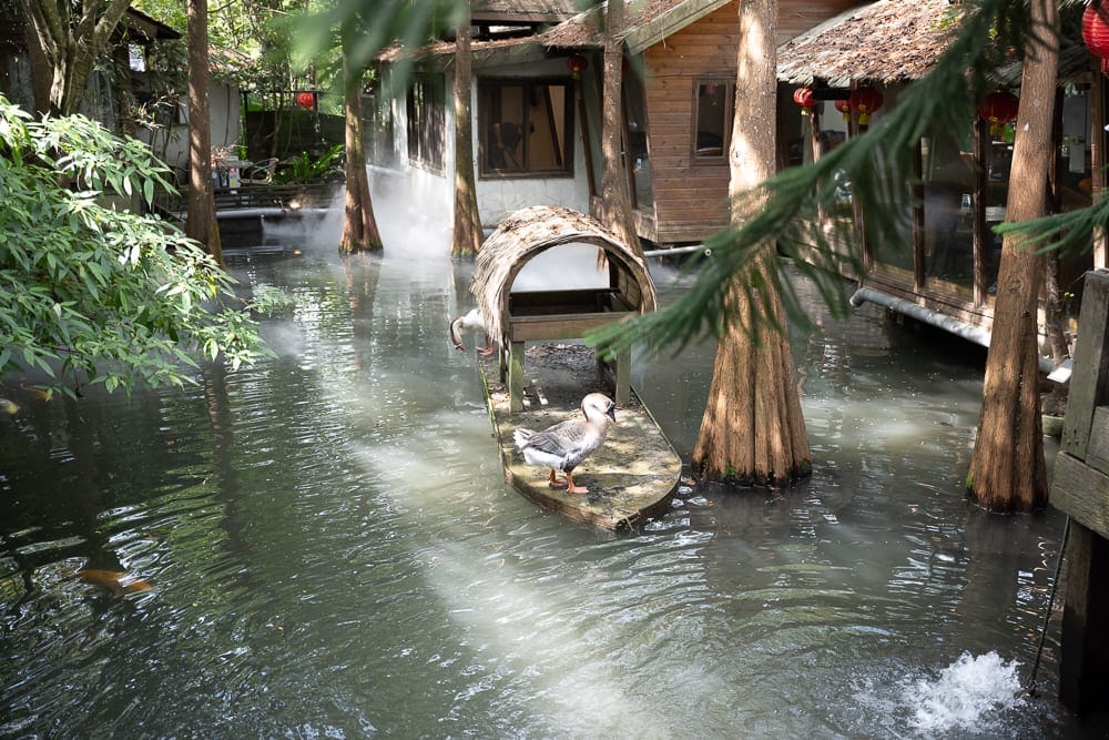 苗栗卓也小屋DIY