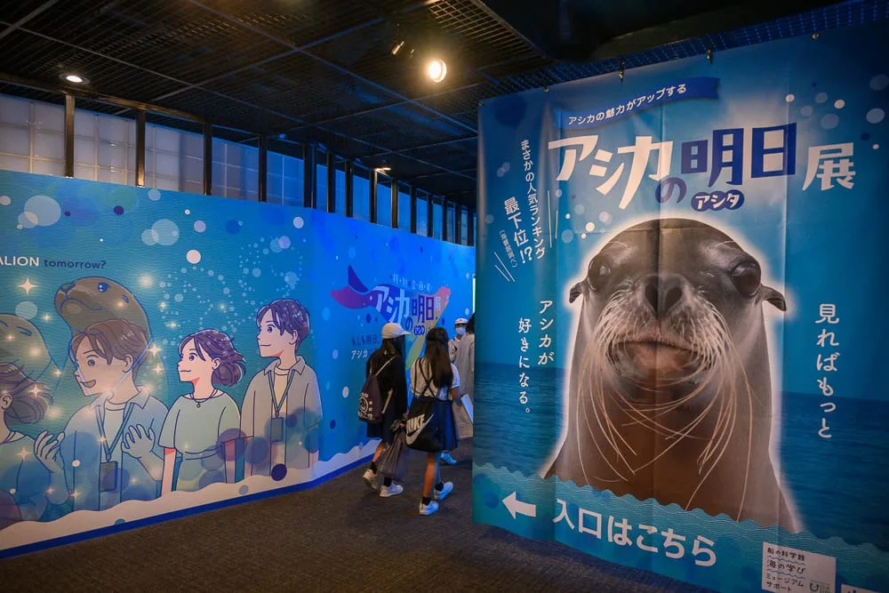日本市立下關水族館 海響館完整攻略|企鵝隧道、海豚表演與河豚展區玩法解析 7 日本下關-海響館|室內,展覽,海獅海報,插畫牆面,遊客,藍色基調,燈光。室內展覽空間中,藍色主題的牆面上印有海獅海報與