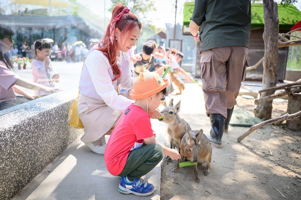 高雄野森動物學校完整攻略|狐狸谷×老鷹小學堂親子玩法解析 5 高雄野森動物學校 自駕必看的免費停車地圖