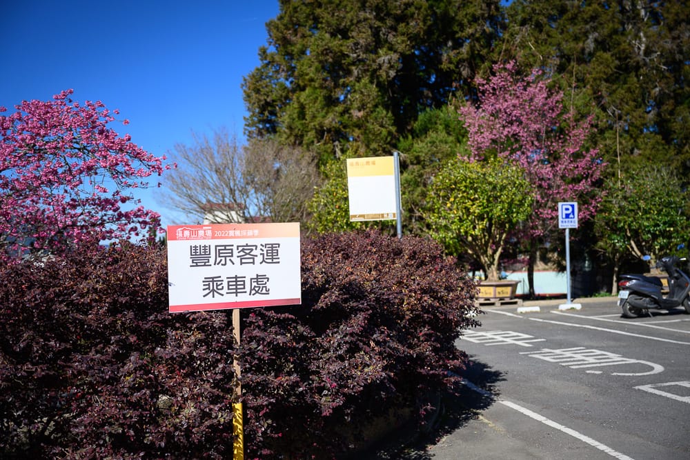 台中福壽山農場|我們去過才知道,櫻花林配山巒這組合有夠美 7 福壽山農場 - 福壽山農場票價、交通與適合對象