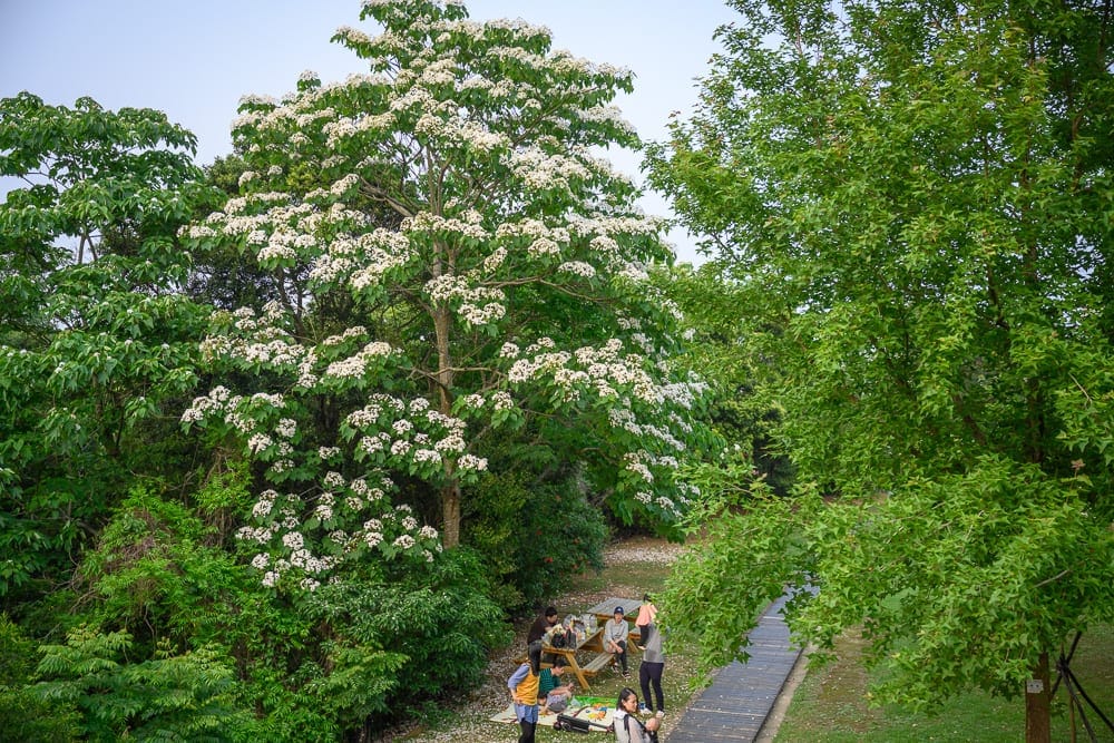 苗栗好客公園