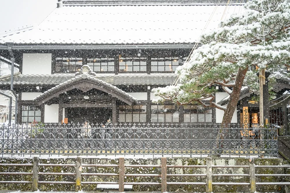日本岐阜高山三町老街完整攻略|江戶建築群與飛驒牛小吃 9 日本高山-高山老街散冊|寺廟,雪,松樹,建築,街道,鐵欄杆。白雪紛飛中,古老日式建築屋頂與松樹覆滿白雪,黑色鐵欄杆前木造圍欄