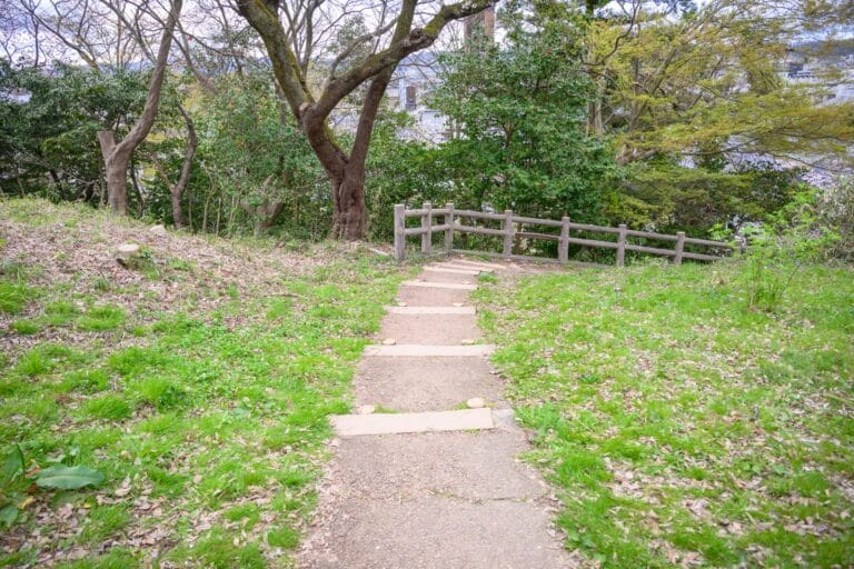 日本富山-高岡古城公園櫻花完整攻略|水濠櫻景與射水神社 7 日本富山-高岡古城公園櫻花|階梯、草地、樹木、欄杆,戶外山坡上的小徑向下延伸,周圍被茂密的綠樹與枯枝環繞,呈現出自然與寧靜的氛圍