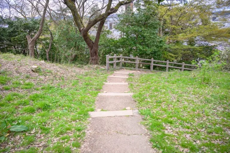 日本富山-高岡古城公園櫻花完整攻略|水濠櫻景與射水神社 18 日本富山-高岡古城公園櫻花|階梯、草地、樹木、欄杆,戶外山坡上的小徑向下延伸,周圍被茂密的綠樹與枯枝環繞,呈現出自然與寧靜的氛圍