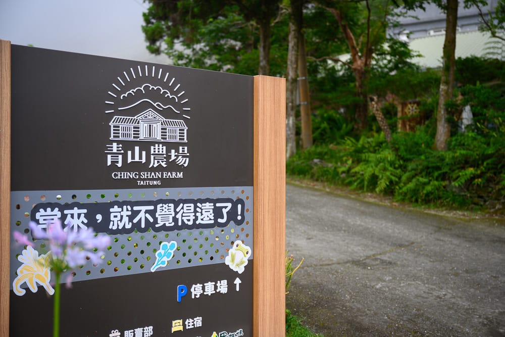 台東青山農場|我們去過才知道,繡球花步道霧氣繚繞,草帽配竹欄杆才是主打 2 青山農場場景