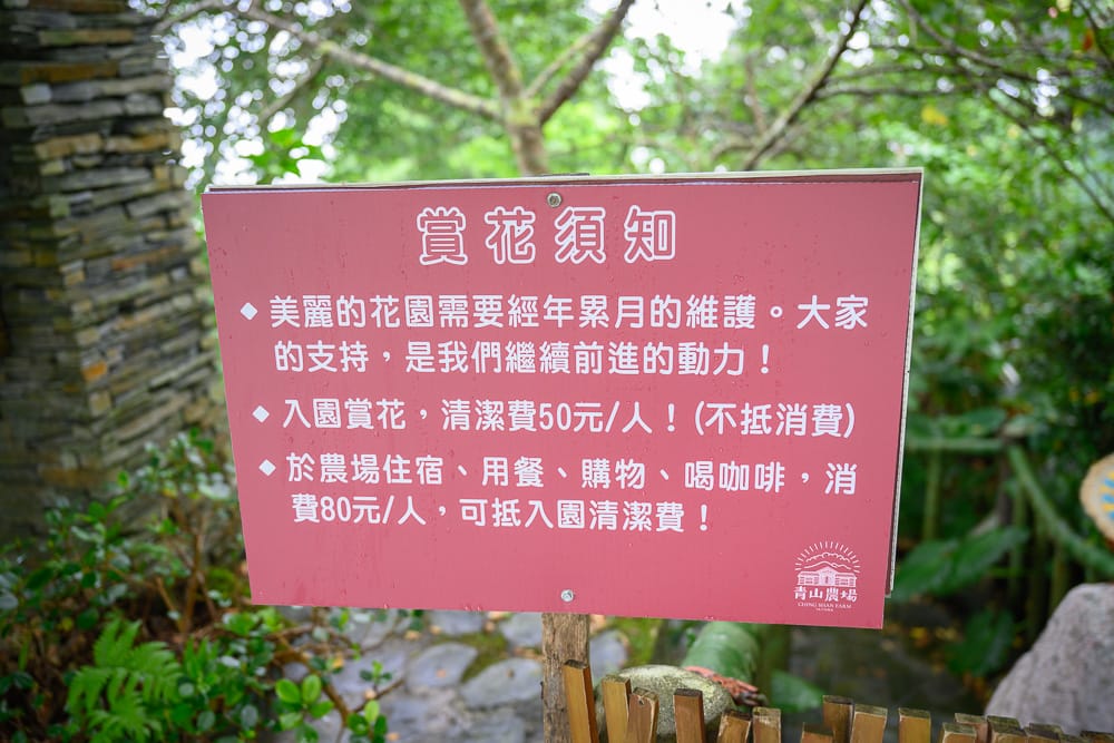 台東青山農場|我們去過才知道,繡球花步道霧氣繚繞,草帽配竹欄杆才是主打 7 青山農場 - 青山農場票價、交通與適合對象
