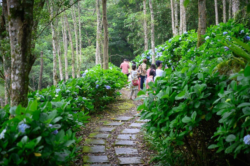 台東青山農場