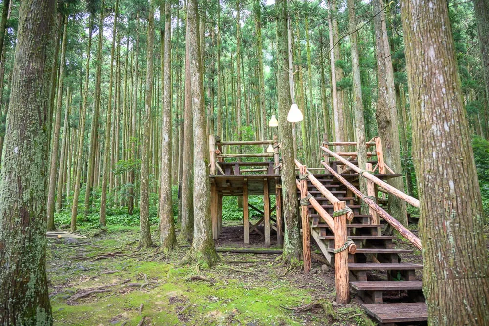 新竹馬武督探索森林｜竹林、木平台、樓梯、樹幹、苔蘚、木欄桿、燈籠。