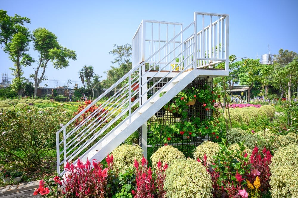 苗栗花露農場