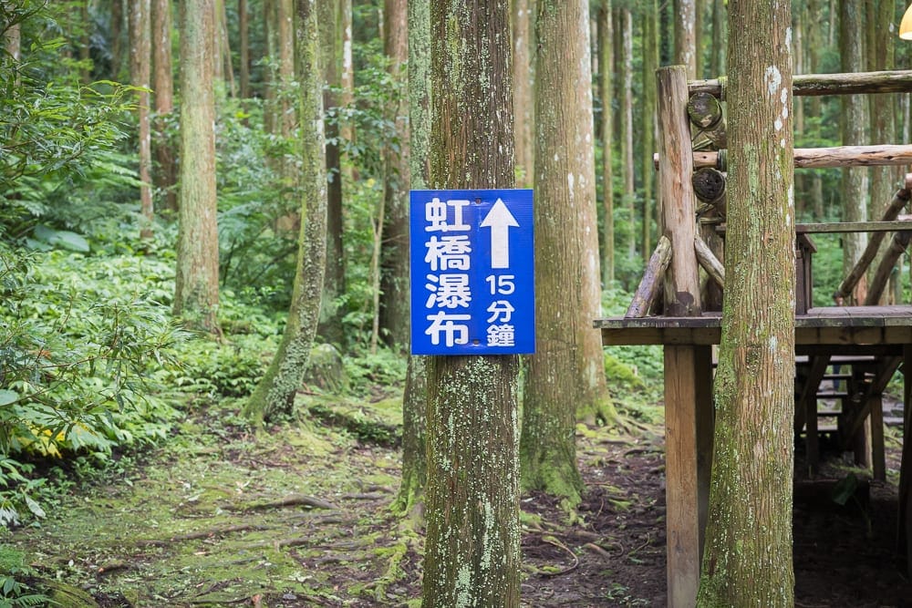 新竹馬武督探索森林完整攻略|森林步道與親子戶外設施 11 新竹馬武督探索森林|森林、樹、木造平臺、藍色指示牌、中文、英文。