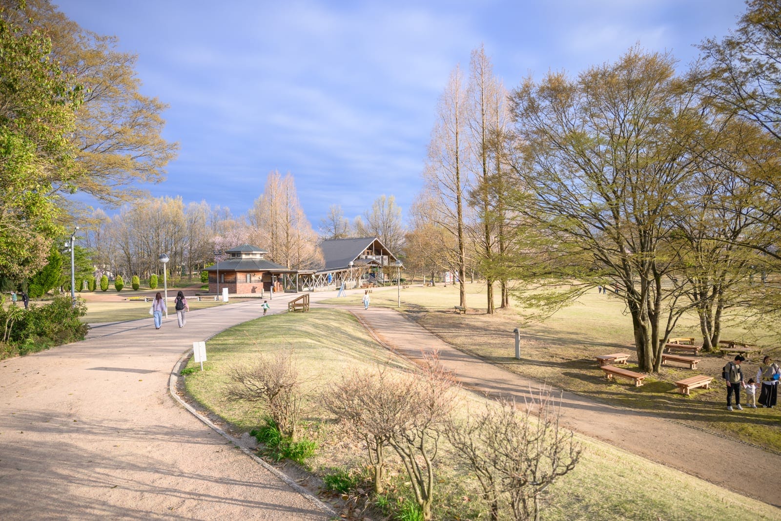 日本富山-高岡童話之森公園完整攻略|哆啦A夢雕塑與親子設施玩法解析 12 日本富山-高岡童話之森公園|戶外公園、步道、木造建築、落羽松、草地、行人、長椅,陽光斜照,藍天白雲,自然景觀。