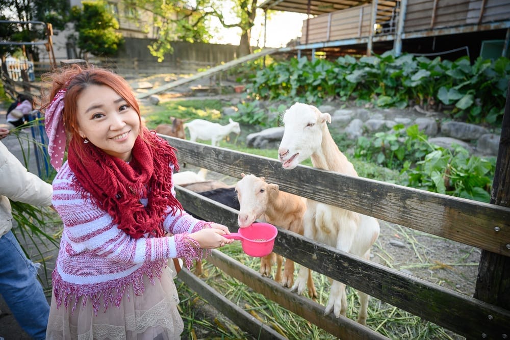 【宜蘭親子景點懶人包大全】精選20+個親子放電景點:張美阿嬤農場、梅花森林親子民宿、初咪體驗農場 6 宜蘭宜農牧場