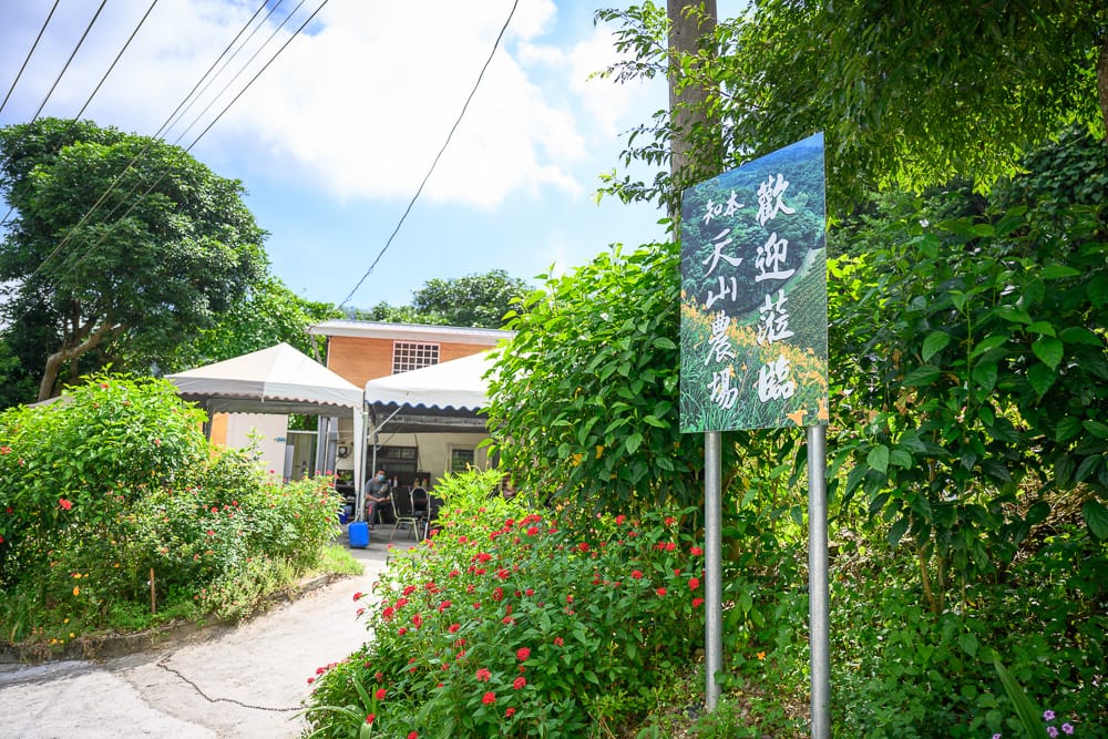 台東知本天山農場 - 台東知本天山農場票價、交通與適合對象