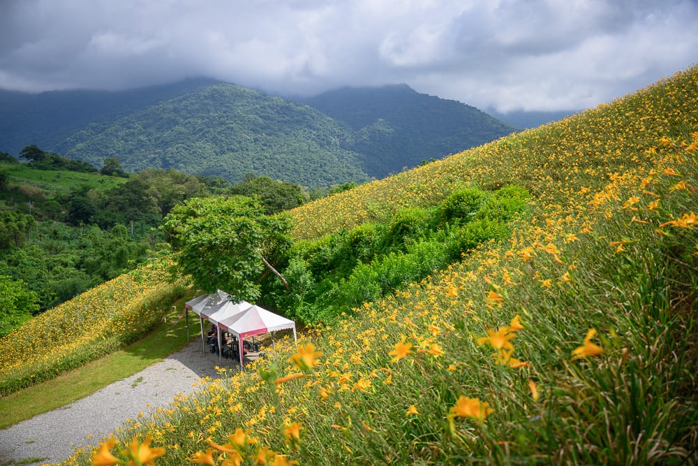台東知本天山農場 - 台東知本天山農場附近景點與一日遊組合