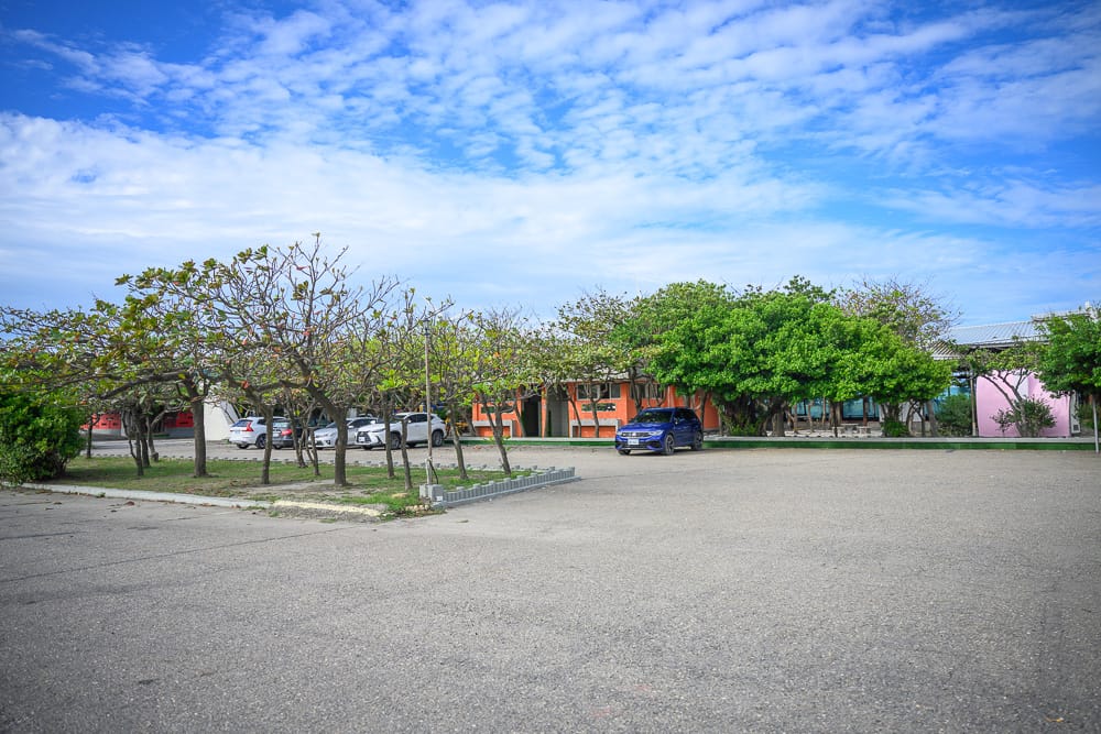 彰化漢堡園生態農場|我們去過才知道,山羊探頭餵食加裝置藝術,親子農場玩法比想像中多 2 彰化漢堡園生態農場場景