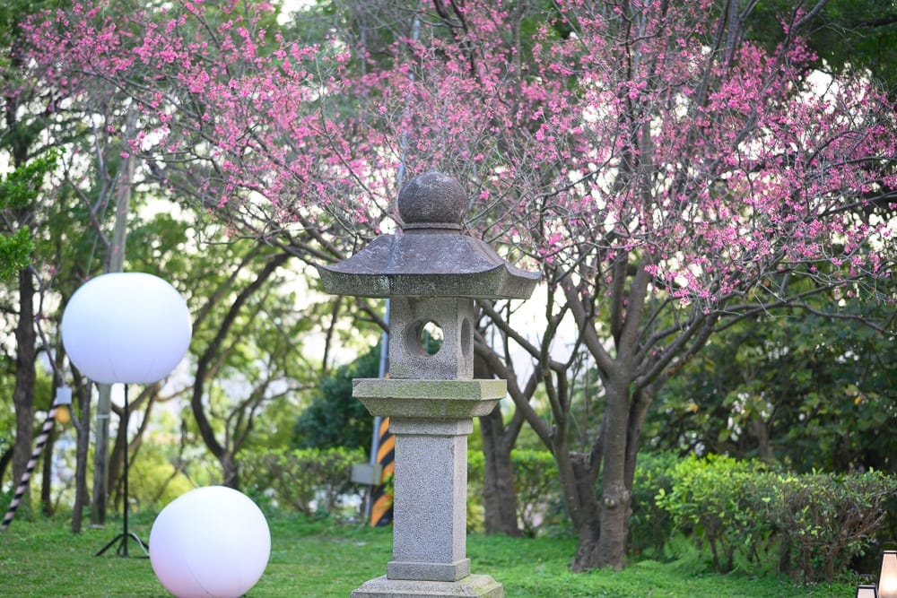 桃園神社｜石燈籠、櫻花樹、草地、圓形燈飾，戶外庭園，日式風情，花朵盛開，綠意盎然，柔和光線