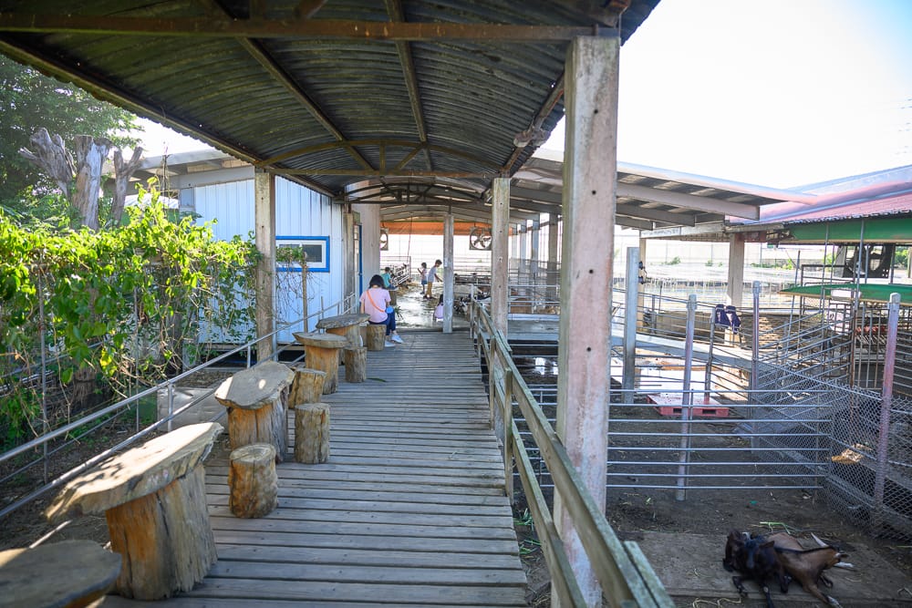 高雄禾光牧場|我們去過才知道,親手擠羊奶餵山羊,沙坑咖啡廳全包了 6 禾光牧場 - 禾光牧場附近景點與一日遊組合