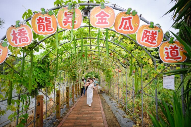 苗栗造橋【龍昇金瓜隧道】環湖200公尺南瓜秘境.巨大南瓜氣球超好拍,金瓜市集美食一次朝聖~假日踏青必去!