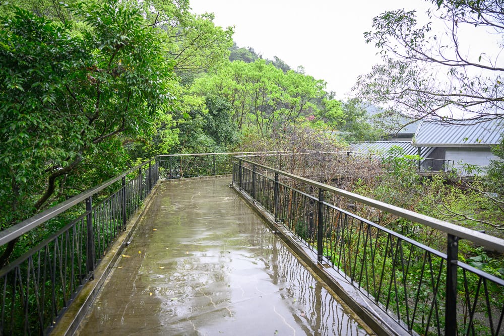三富農場紫森林場景