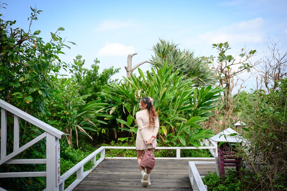 花蓮原野牧場|我們去過才知道,海景餐廳配藤椅窗景,坐下來才捨不得走 6 原野牧場 - 原野牧場附近景點與一日遊組合