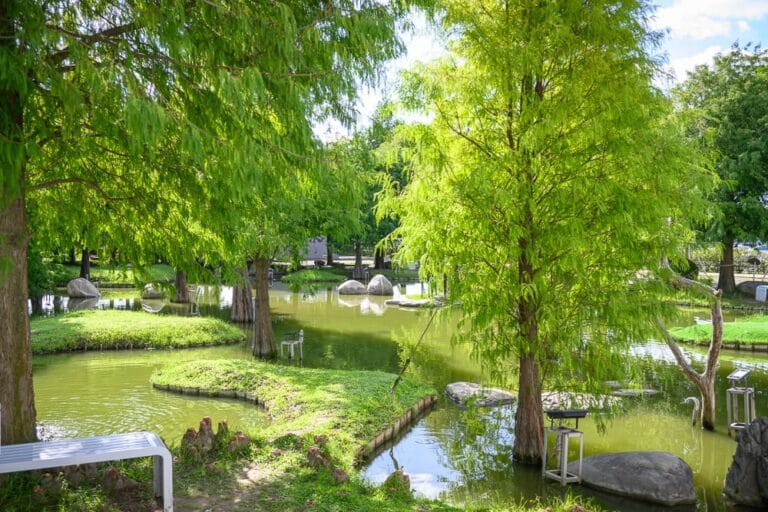 雲林澄霖沉香味道森林館完整攻略|沉香展館、小動物餵食親子玩法解析 13 雲林澄霖沉香森林館 照片 1