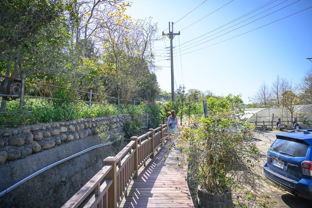 新竹巨埔休閒農場|我們去過才知道,彩虹隧道加圓管小屋,黃花風鈴木才是主打 6 巨埔休閒農場 - 巨埔休閒農場附近景點與一日遊組合