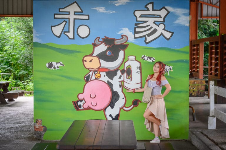 彰化禾家牧場|我們去過才知道,乳牛彩繪牆配現擠霜淇淋,樹蔭座位坐下去不想走 18 彰化禾家牧場|我們去過才知道,乳牛彩繪牆配現擠霜淇淋,樹蔭座位坐下去不想走