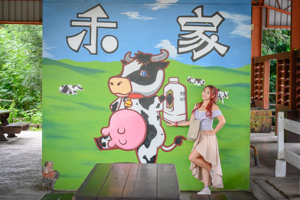 彰化禾家牧場|我們去過才知道,乳牛彩繪牆配現擠霜淇淋,樹蔭座位坐下去不想走 4 禾家牧場 - 禾家牧場必看亮點與主要體驗