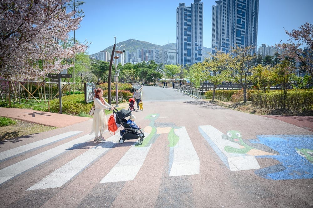 韓國釜山釜山市民公園｜戶外公園，櫻花，婦人推嬰兒車，斑馬線，彩繪地面，行人步道，高樓大廈，遠山，晴朗藍天，白天。