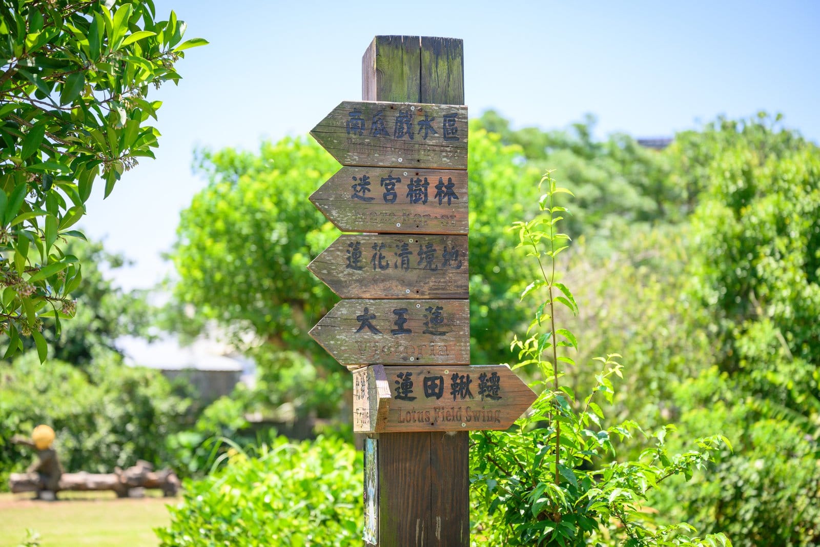 桃園觀音景點【蓮荷園休閒農場】坐大王蓮.找獨角仙.吃蓮子雪花冰,漂浮荷花池上超好玩!