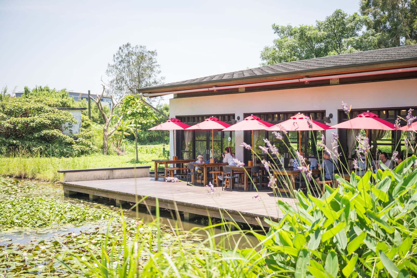 桃園好客食堂|我們去過才知道,戶外草坪加水池木棧道,甜點比想像中好吃 6 桃園好客食堂 - 好客食堂附近景點與一日遊組合