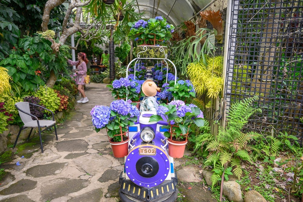 苗栗花露休閒農場