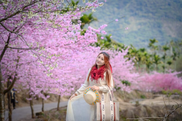 雲林青山坪農|我們去過才知道,山谷裡的粉色櫻花林配白色老建築,這樣才對味 8 雲林青山坪農|我們去過才知道,山谷裡的粉色櫻花林配白色老建築,這樣才對味