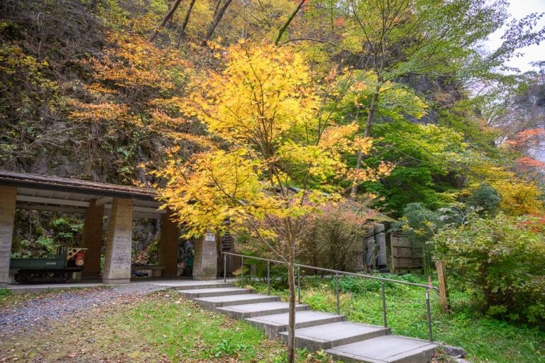 日本岩手-猊鼻溪紅葉｜階梯、樹木、楓樹、建築物、山坡、秋景，金黃色與綠色交織的植物覆蓋山壁，石階步道向上延伸，旁有金黃落葉